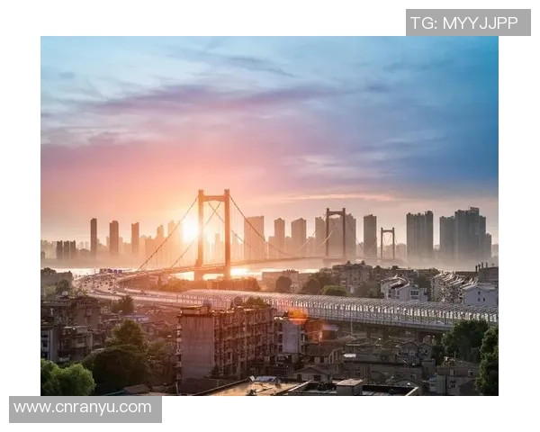 武汉篮球队在钻石联赛中的崛起与挑战历程全景回顾