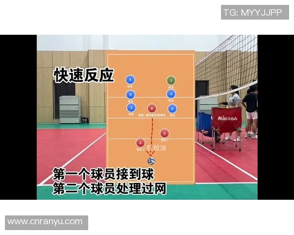 武汉排球队的速度之美：探索排球运动中的快速反应与战术配合