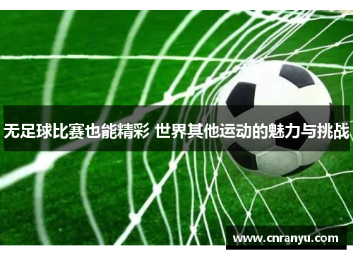无足球比赛也能精彩 世界其他运动的魅力与挑战